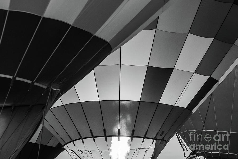 Black and White Balloons Photograph by Paul Quinn