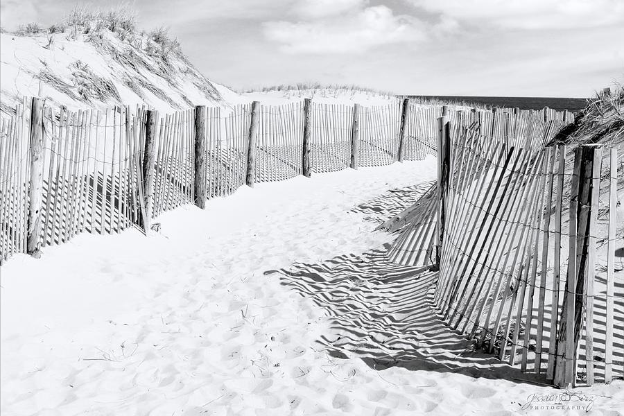 Black and White Beach Photograph by Jessica Cirz