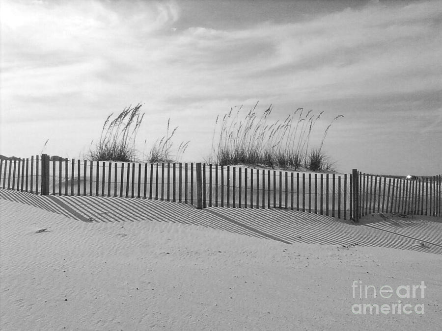 Black And White Beach Photograph by Michelle Powell