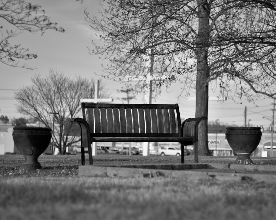 Black and White Bench Photograph by David Zarecor