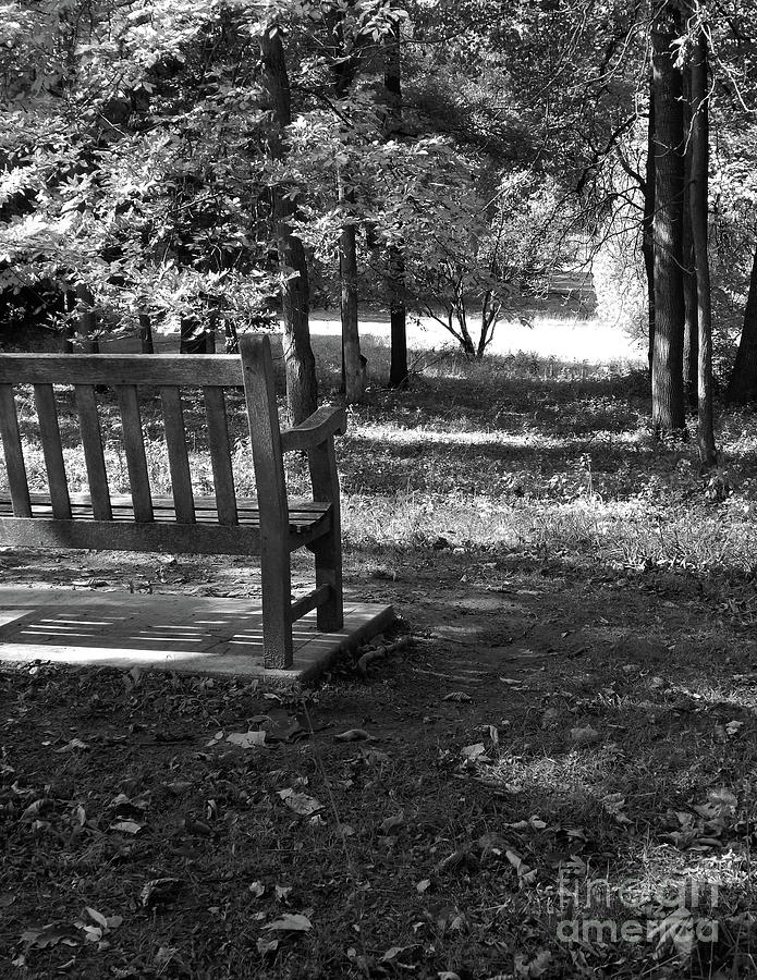 Black And White Bench Digital Art by Phil Perkins