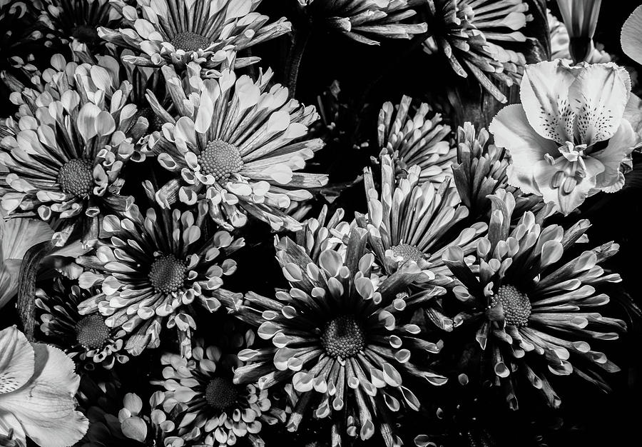 Black And White Bouquet Photograph