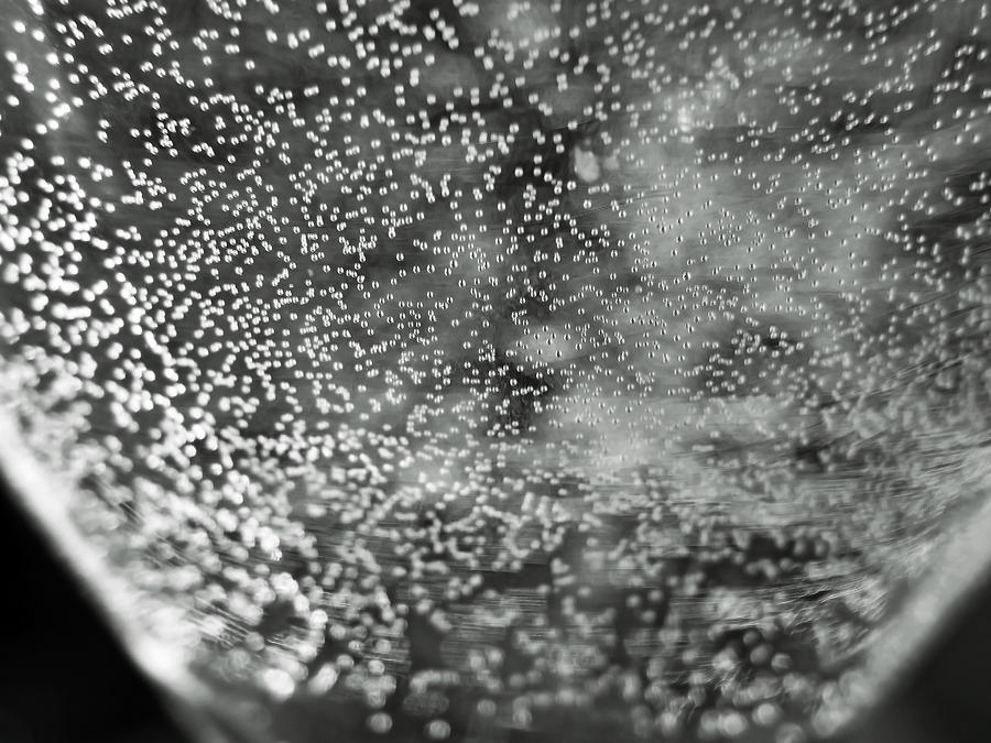 Black And White Photograph - Black and White Bubbly by Gretchen Friedrich
