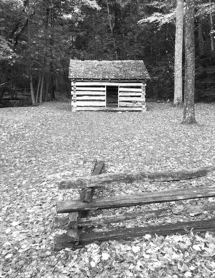 Black And White Cabin Photograph by Phil Perkins