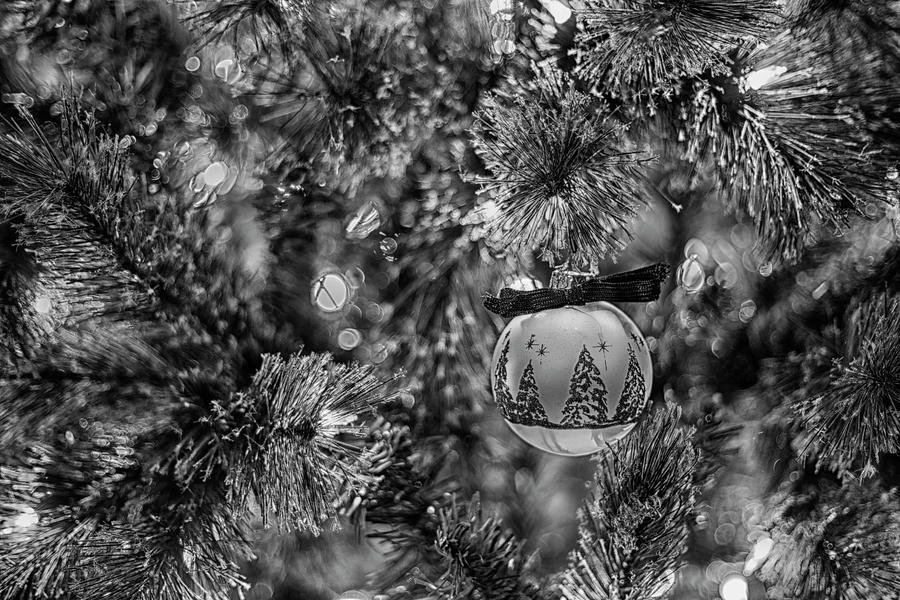 Christmas Photograph - Black and White Christmas by Amber Kresge