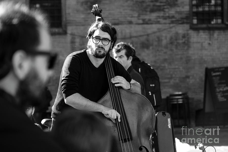 Artists Photograph - Black And White Contrabass Player by Luca Lorenzelli Artists Photograph - Black And White Contrabass Player by Luca Lorenzelli