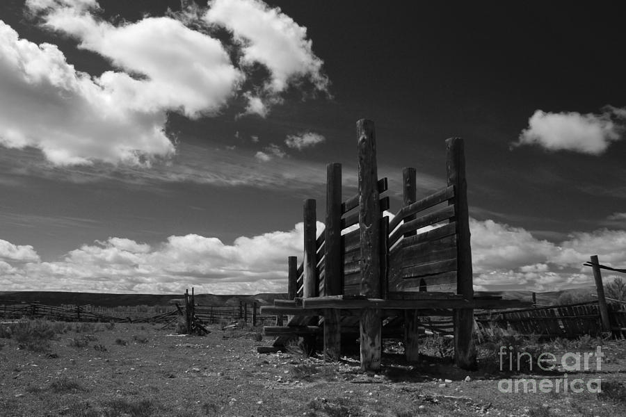 Black and White Corral Photograph by Edward R Wisell