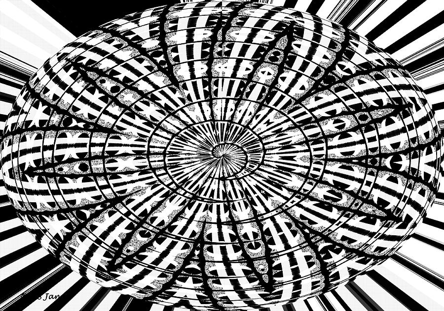 Black And White Digital Flower Digital Art by Tom Janca