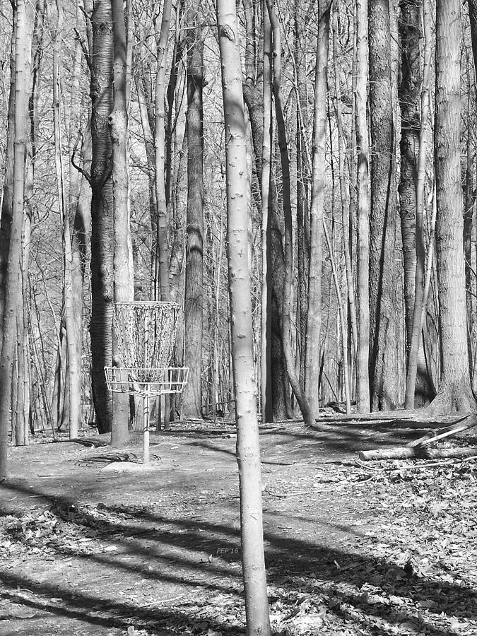 Black And White Disc Golf Basket Photograph by Phil Perkins