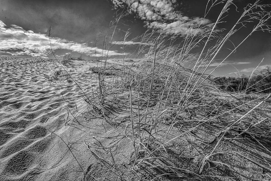Black and White Dunes Photograph by John McGraw