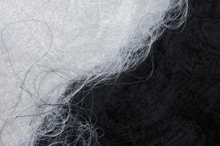 Black and white fibers - yin and yang Photograph by Matthias Hauser