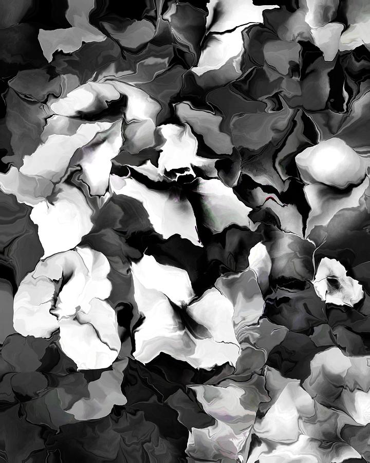 Black and White Floral Digital Art by David Lane