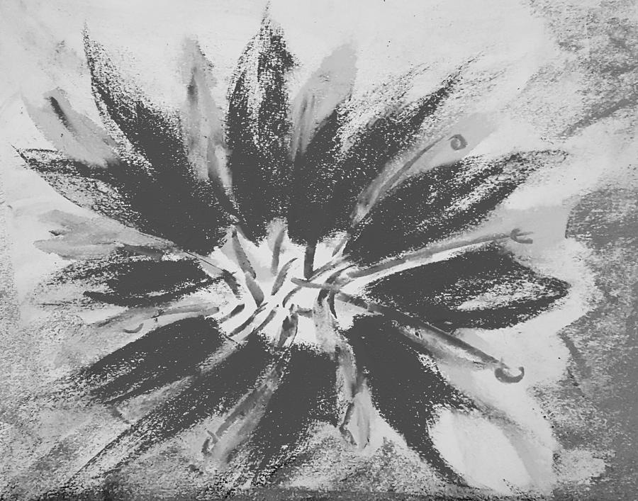 Black and white flower Drawing by Hae Kim