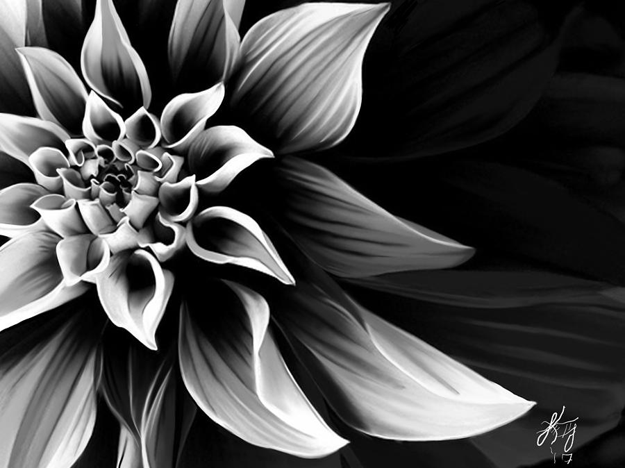 Black And White Flower Digital Art