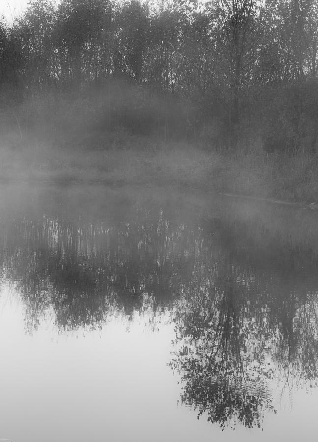 Black and White Fog Photograph by Claus Siebenhaar - Pixels