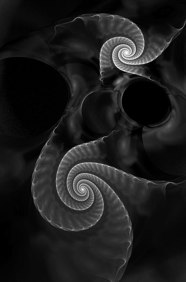 Black and White Fractal 080810 Digital Art by David Lane