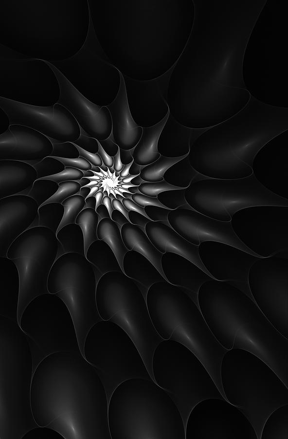 Black and White Fractal 080810C Digital Art by David Lane