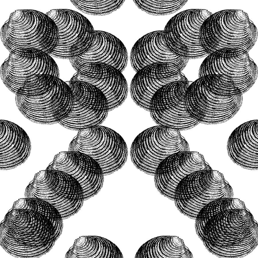 Brandi Fitzgerald Digital Art - Black And White Geometric Circles by Brandi Fitzgerald Brandi Fitzgerald Digital Art - Black And White Geometric Circles by Brandi Fitzgerald