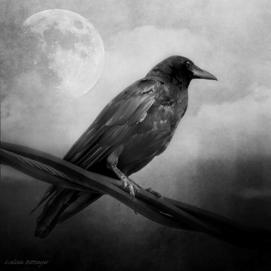 Black and White Gothic Crow Raven Art Photograph by Melissa Bittinger
