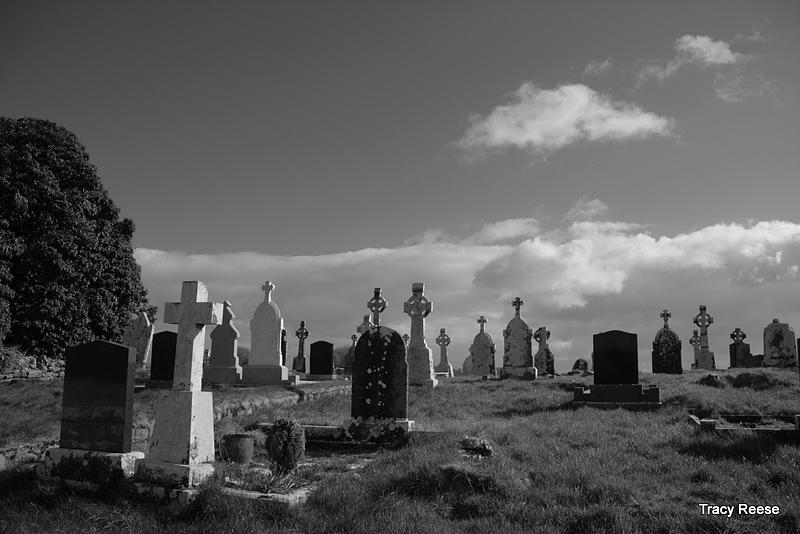 Black and White Graves Photograph by Tracy Reese - Fine Art America