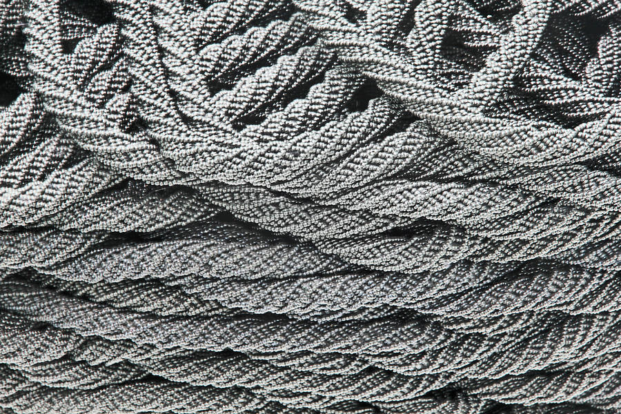 Black and White Gray Ropes of Pearls Basket Weaves Loops 2 8292017  Photograph by David Frederick