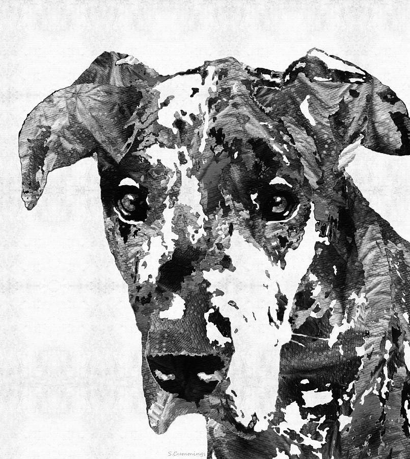 Black And White Great Dane Art Dog By Sharon Cummings