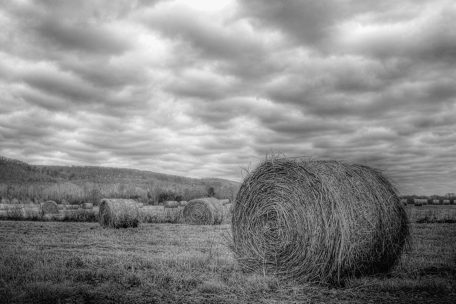 Black and White Hay Field Photograph by Harold Stinnette