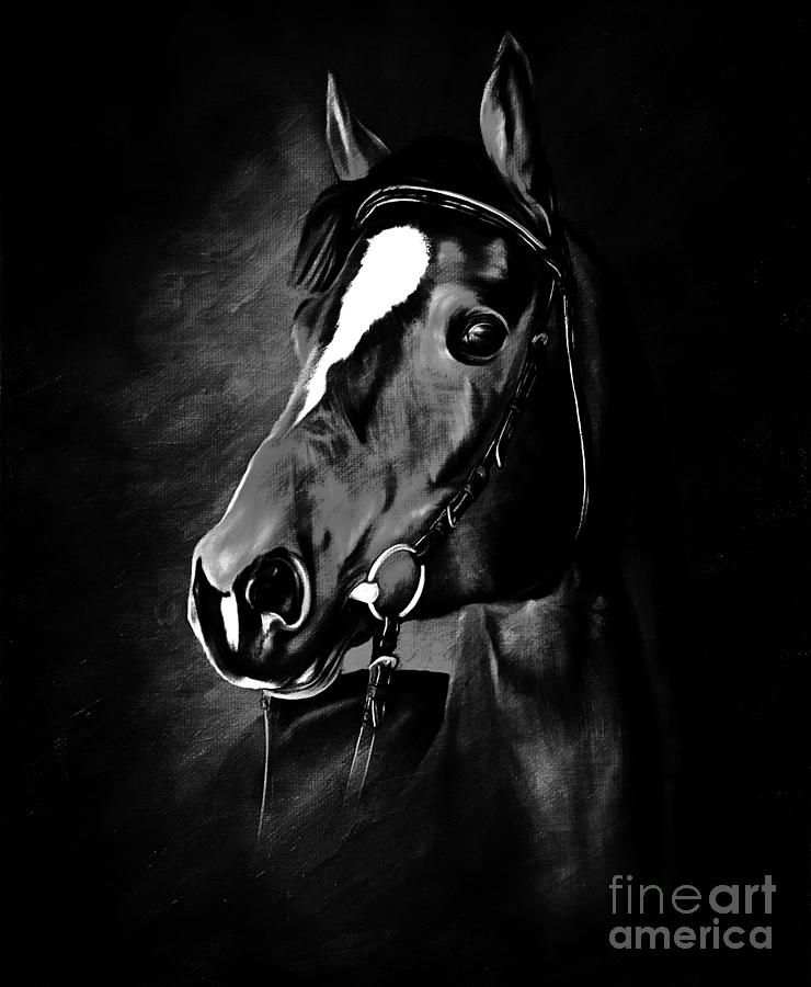 black and white horse head