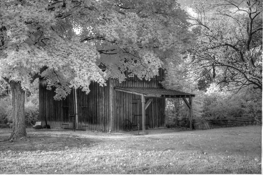 Black and White infrared barn Photograph by Jane Linders