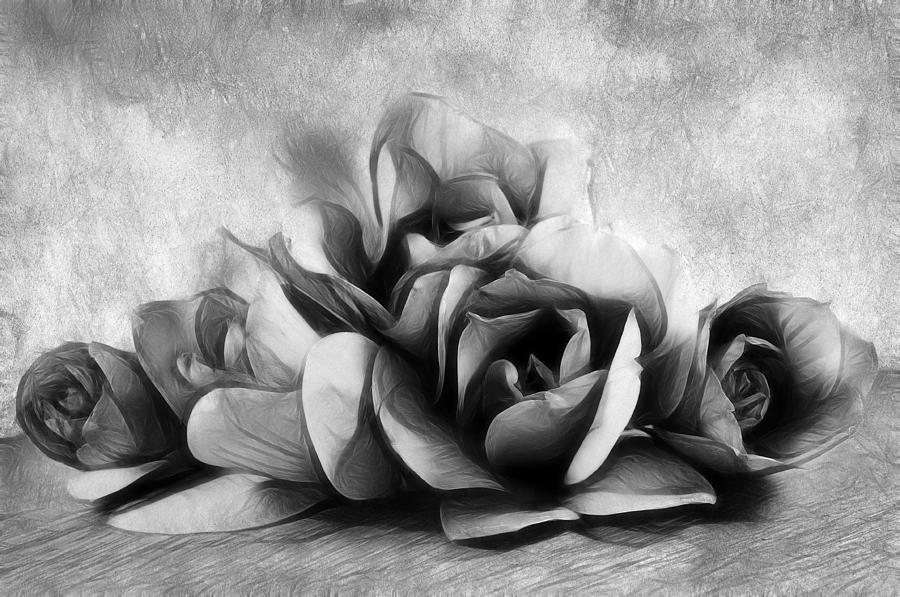 Magnolia Movie Photograph - Black and White Is Beautiful by Georgiana Romanovna