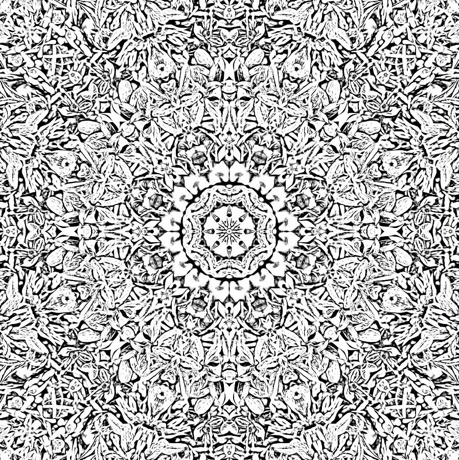 Black and White Kaleidoscope Pattern  Digital Art by Roy Pedersen