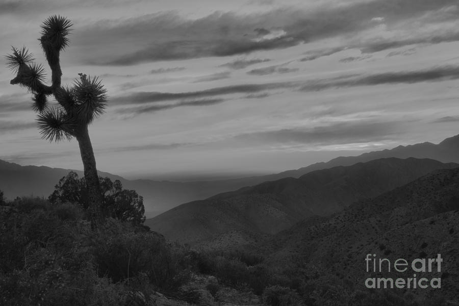 Black And White Keys View Sunset Photograph by Adam Jewell