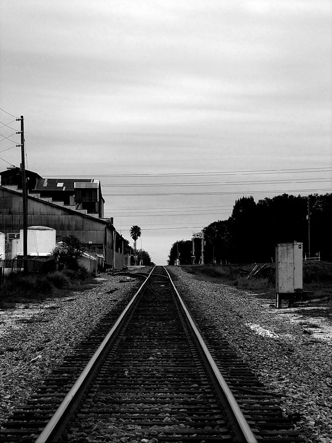 Black and White Lake Alfred Siding Photograph by Christopher Mercer