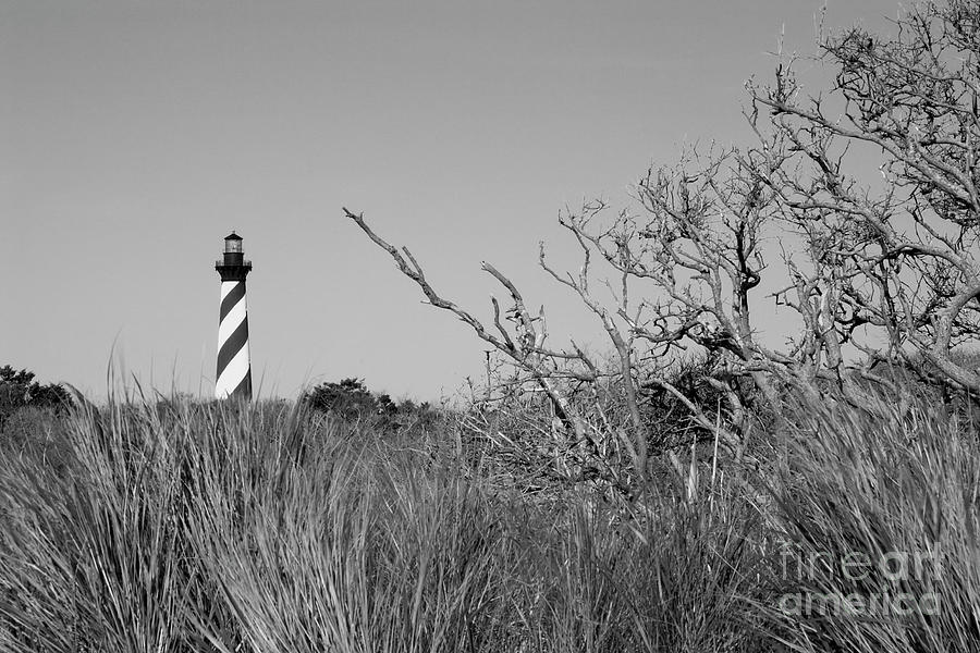 Black and White Lighthouse Photograph by Jill Lang