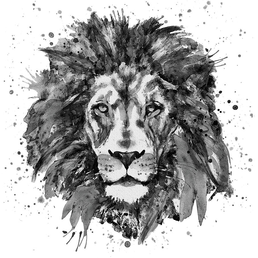 black and white lion face photography