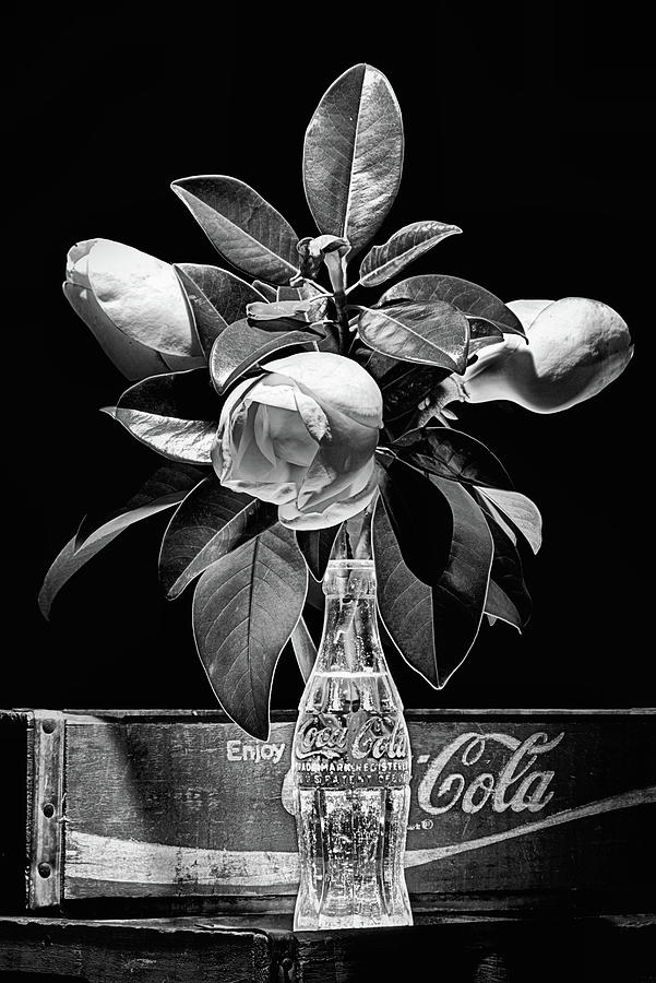 Black and White Magnolia and Coke Still Life Photograph by JC Findley