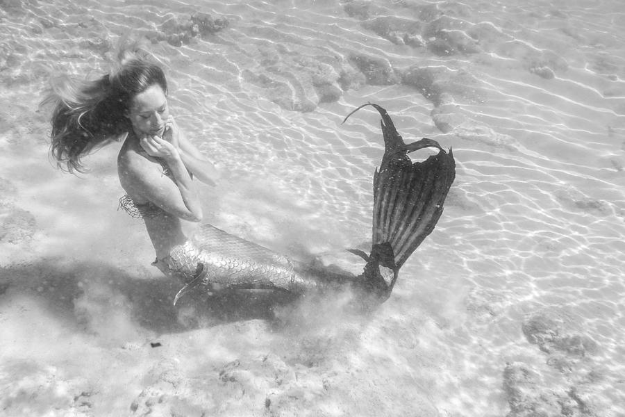 Black and White Mermaid by Leonardo Dale Black and White Mermaid by Leonardo Dale