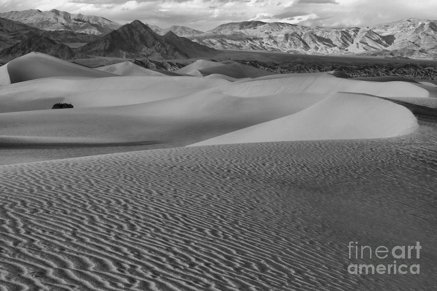 Death Valley National Park Photograph - Black And White Mesquite Sand Dunes by Adam Jewell