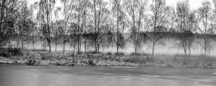 Christmas Photograph - Black and white Misty christmas  by Leif Sohlman