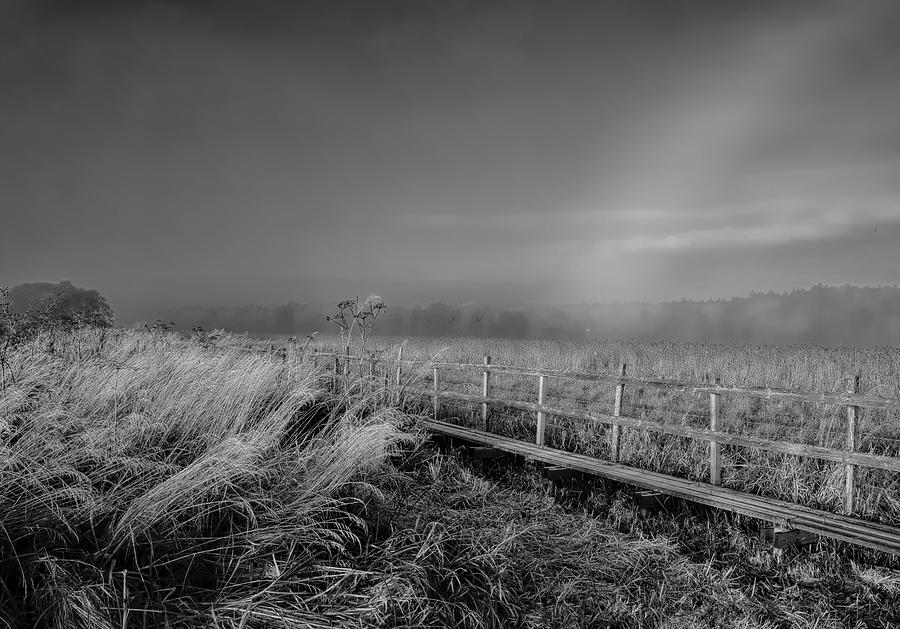 Black And White Photograph - Black and white Misty morning October by Leif Sohlman