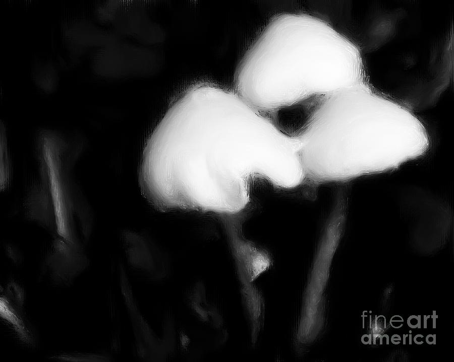 Black And White Mushrooms Painting by Smilin Eyes Treasures