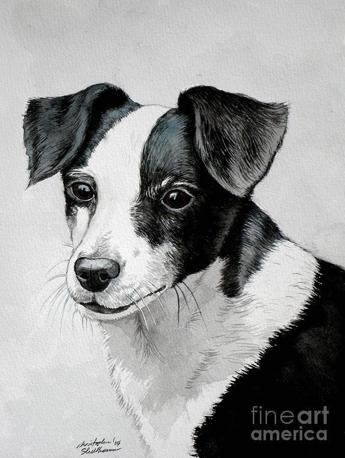 Black and White Mutt Dog Painting by 