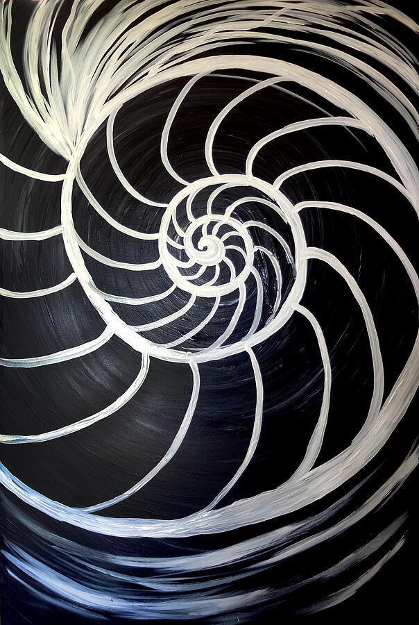 Black and White Nautilus Spiral Painting by Michelle Pier Black and White Nautilus Spiral Painting by Michelle Pier
