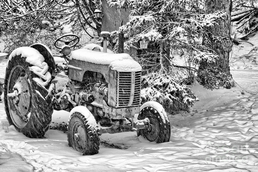 Black and White old tractor in winter Photograph by Wendy Elliott