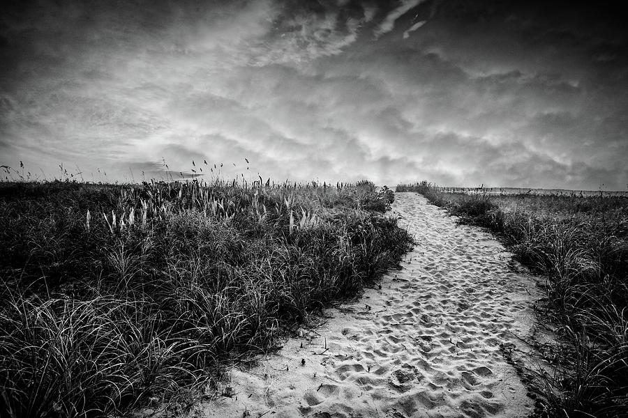 Black and White on the Dunes Photograph by Debra and Dave Vanderlaan