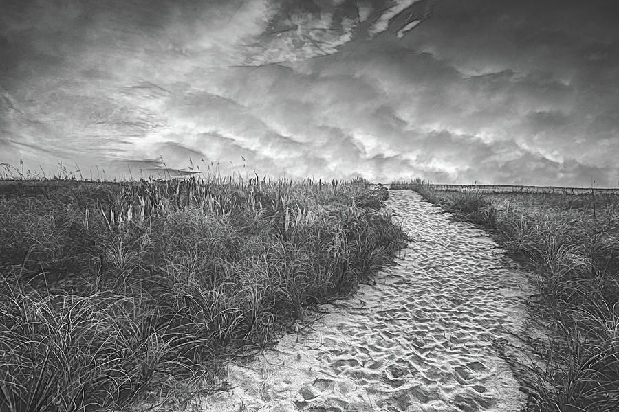 Black and White on the Dunes Drawing Photograph by Debra and Dave Vanderlaan