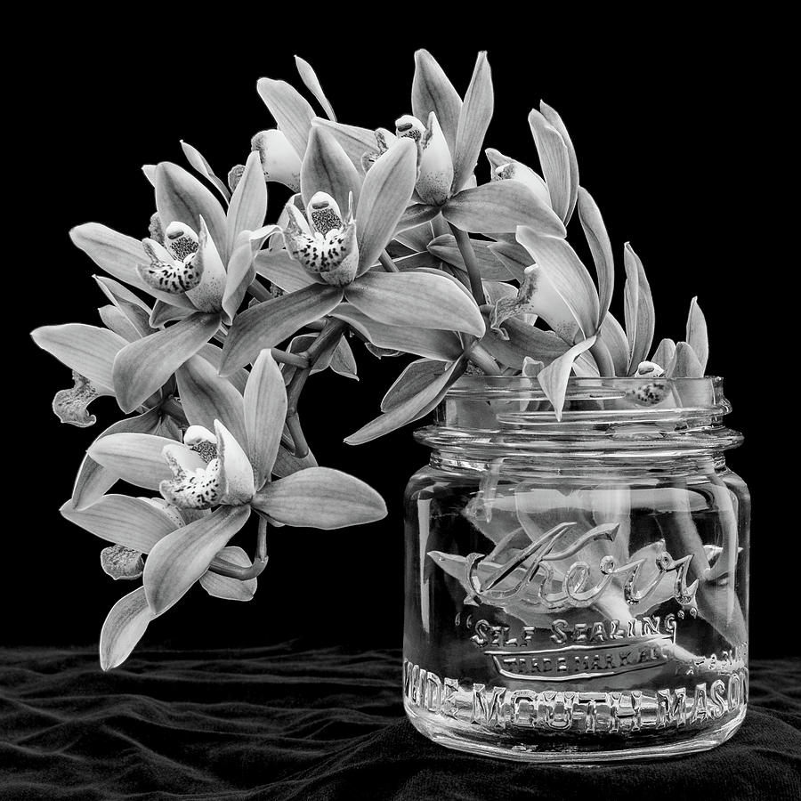 Black and White Orchid Antique Mason Jar Photograph by Kathy Anselmo