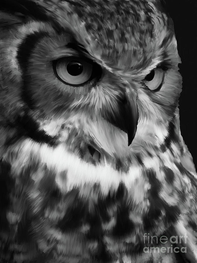 Black and White Owl Painting Painting by Gull G