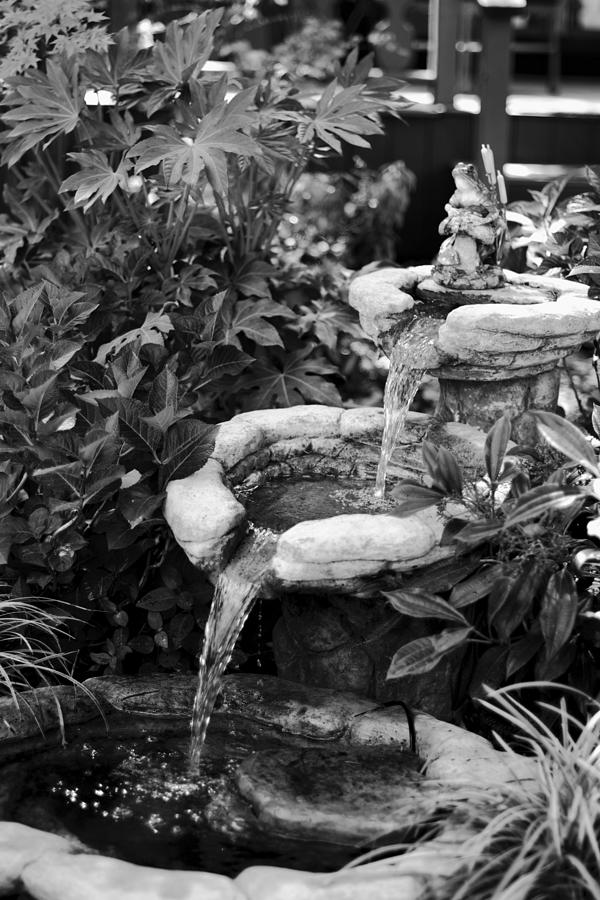 Black And White Photo Of Garden Fountain Photograph by Serena King