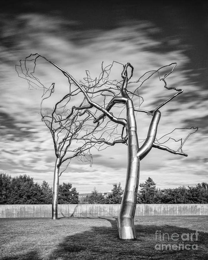 Black and White Photograph - Roxy Paine - Conjoined at the Museum of Modern Art - Fort Worth Texas Photograph by Silvio Ligutti